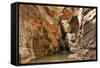 Elves Chasm, Grand Canyon National Park, Arizona, USA-Matt Freedman-Framed Stretched Canvas