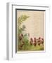 Elves Dancing in a Ring-null-Framed Art Print