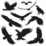 Birds of Prey-elvil-Framed Art Print