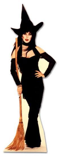 Cardboard Cutouts, , large