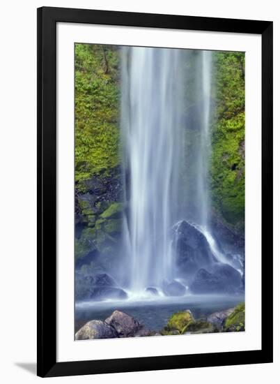 Elwha Falls Columbia River Gorge National Scenic Area, Oregon-Darrell Gulin-Framed Premium Photographic Print