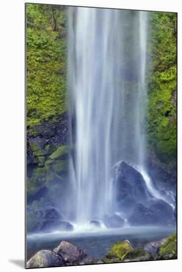 Elwha Falls Columbia River Gorge National Scenic Area, Oregon-Darrell Gulin-Mounted Premium Photographic Print