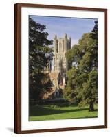 Ely Cathedral, Ely, Cambridgeshire, England, UK-Lee Frost-Framed Photographic Print