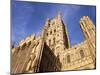 Ely Cathedral, Ely, Cambridgeshire, England, United Kingdom-Charles Bowman-Mounted Photographic Print