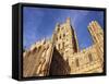 Ely Cathedral, Ely, Cambridgeshire, England, United Kingdom-Charles Bowman-Framed Stretched Canvas