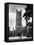 Ely Cathedral-null-Framed Stretched Canvas