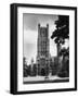 Ely Cathedral-null-Framed Photographic Print