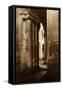 Ely Cathedral-Frederick Henry Evans-Framed Stretched Canvas