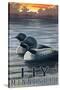 Ely, Minnesota - Loon on Lake-Lantern Press-Stretched Canvas