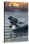 Ely, Minnesota - Loon on Lake-Lantern Press-Stretched Canvas