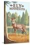 Ely, Minnesota - White Tailed Deer-Lantern Press-Stretched Canvas