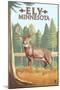 Ely, Minnesota - White Tailed Deer-Lantern Press-Mounted Art Print