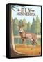 Ely, Minnesota - White Tailed Deer-Lantern Press-Framed Stretched Canvas