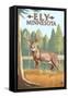 Ely, Minnesota - White Tailed Deer-Lantern Press-Framed Stretched Canvas