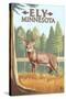 Ely, Minnesota - White Tailed Deer-Lantern Press-Stretched Canvas