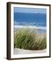 Elyme des sables-Matthias Weber-Framed Art Print