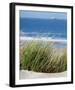 Elyme des sables-Matthias Weber-Framed Art Print