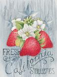 American Berries III-Elyse DeNeige-Art Print