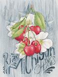 Retro Apple Otomi-Elyse DeNeige-Art Print
