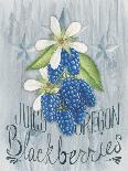 American Berries IV-Elyse DeNeige-Art Print