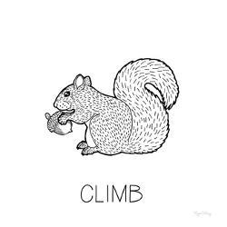 Rodent Art Poster Prints Paintings Wall Art Allposters Com