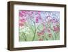 Elysian Morning-Herb Dickinson-Framed Photographic Print