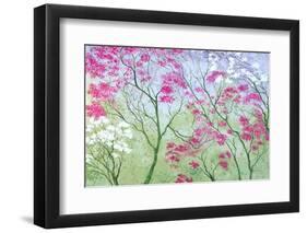 Elysian Morning-Herb Dickinson-Framed Photographic Print