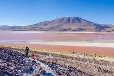 Bolivia, Antiplano - Landscape with Vicunas-Elzbieta Sekowska-Photographic Print