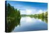 Emajogi River, Tartu, Estonia, Baltic States, Europe-Nico Tondini-Stretched Canvas