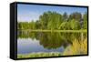 Emajogi River, Tartu, Estonia, Baltic States, Europe-Nico Tondini-Framed Stretched Canvas