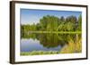 Emajogi River, Tartu, Estonia, Baltic States, Europe-Nico Tondini-Framed Photographic Print