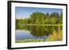 Emajogi River, Tartu, Estonia, Baltic States, Europe-Nico Tondini-Framed Photographic Print