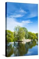 Emajogi River, Tartu, Estonia, Baltic States-Nico Tondini-Stretched Canvas