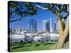 Embarcadero Marina, San Diego, California, USA-Ruth Tomlinson-Stretched Canvas