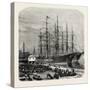 Embarking Cotton at Savannah, USA, 1870s-null-Stretched Canvas
