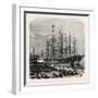 Embarking Cotton at Savannah, USA, 1870s-null-Framed Giclee Print