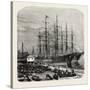 Embarking Cotton at Savannah, USA, 1870s-null-Stretched Canvas