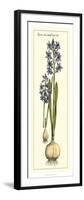 Embellished Hyacinth I-Vision Studio-Framed Art Print