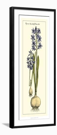 Embellished Hyacinth I-Vision Studio-Framed Art Print