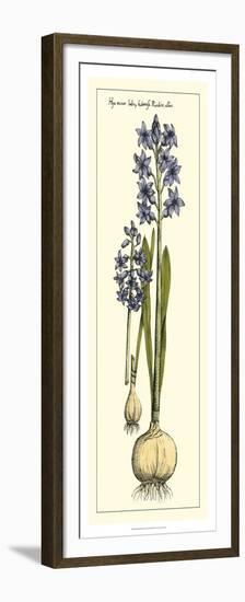 Embellished Hyacinth I-Vision Studio-Framed Premium Giclee Print