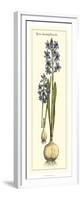 Embellished Hyacinth I-Vision Studio-Framed Premium Giclee Print