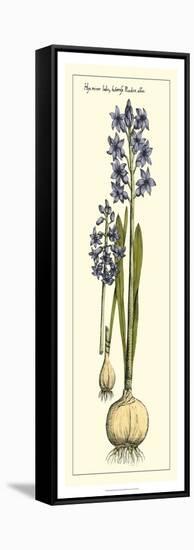 Embellished Hyacinth I-Vision Studio-Framed Stretched Canvas
