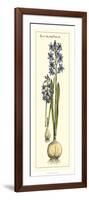 Embellished Hyacinth I-Vision Studio-Framed Art Print