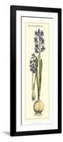 Embellished Hyacinth I-Vision Studio-Framed Art Print