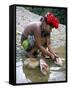 Embera Indian Cleaning Fish, Soberania Forest National Park, Panama, Central America-Sergio Pitamitz-Framed Stretched Canvas