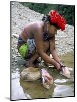 Embera Indian Cleaning Fish, Soberania Forest National Park, Panama, Central America-Sergio Pitamitz-Mounted Photographic Print