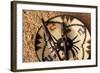 Embera Wood Carvings and Basket-Danny Lehman-Framed Photographic Print