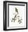 Emberiza Rustica-Aaron Ashley-Framed Art Print