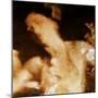 Embers-Gideon Ansell-Mounted Photographic Print