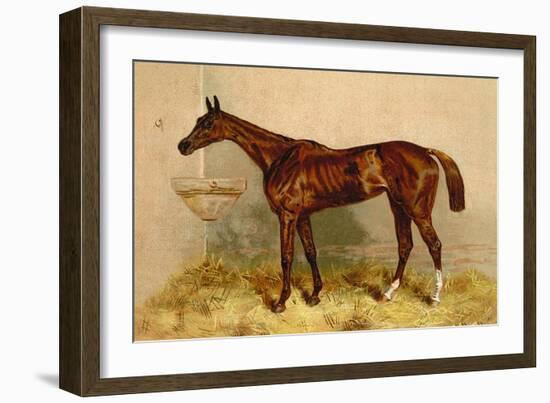 Emblem, Steeplechase Mare-Samuel Sidney-Framed Art Print